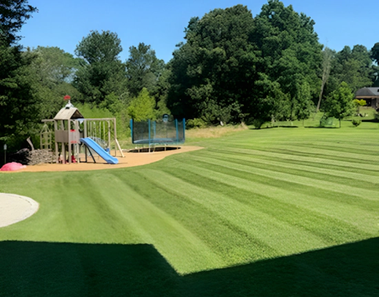 Reliable Landscaping Professionals You Can Count On Content Image