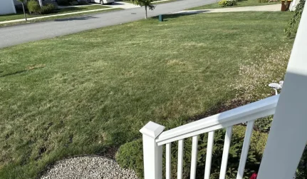 A white railing in the foreground with a green lawn, sidewalk, and street in the background on a sunny day.