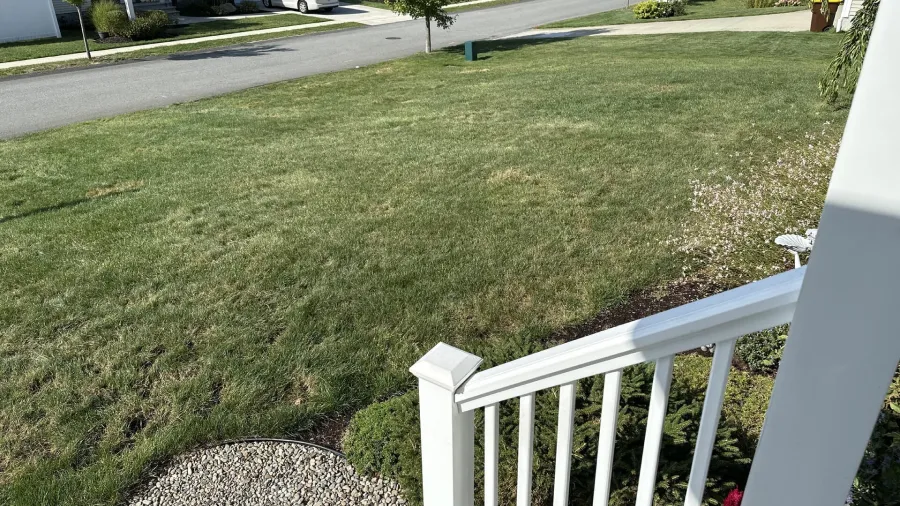 A white railing in the foreground with a green lawn, sidewalk, and street in the background on a sunny day.